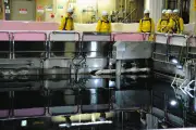 静岡県と御前崎市、浜岡原発の使用済み燃料点検　データ不正後初