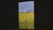 戦争の記憶、写真で刻む 大石芳野『あすへの記憶』評