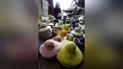 酷暑に備えつば広め…麦わら帽子の出荷が最盛期 香川