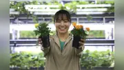 熱中症警戒アラート発表基準の見直しへ、湿度と日射を考慮