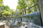 杉並・蚕糸の森公園の大滝と緑が織りなす穏やかな癒し空間