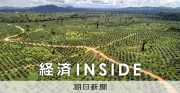 花王、物言う株主からESG対応迫られる パーム油調達の課題