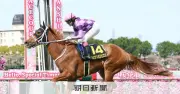 女性騎手初のクラシック挑戦、今村聖奈がオークスで歴史的GⅠ制覇狙う