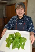 自宅で養蚕体験「お蚕さま飼育キット」福島のNPOが販売