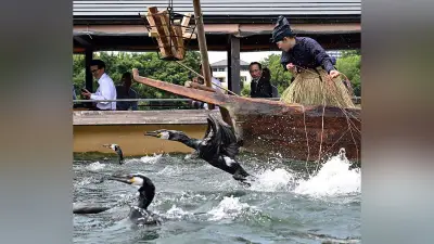 木曽川鵜飼が開幕、鵜匠2人に減少も初鵜飼を披露