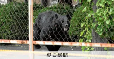 夜勤明けの男性に飛びかかったクマ 福島で4人襲い、記者の目の前に
