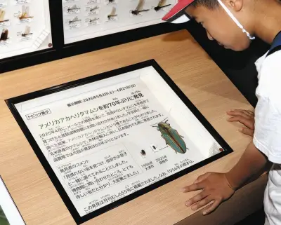 滋賀県で69年ぶりアメリカアカヘリタマムシ発見、輸入木材に紛れ幼虫が数十年生存か