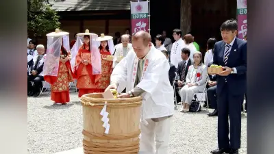 南高梅の収穫最盛期、質は上々も３年連続の不作見込み
