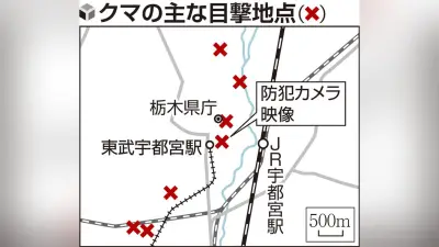 宇都宮市中心部にクマ出没、県庁や商店街で相次ぎ目撃