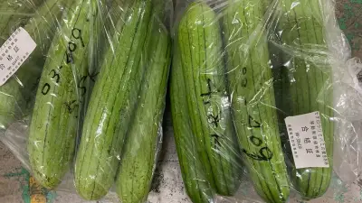 もはや異常事態、沖縄の野菜持ち出し禁止に迫る特殊害虫の脅威と生物安全保障の課題