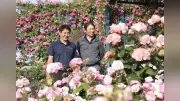 水俣病の記憶を刻む埋立地にバラ園、憩いの場に再生 年間10万人訪れる名所に