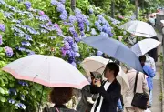関東甲信と東海で梅雨入り、平年並みで昨年より16日遅く
