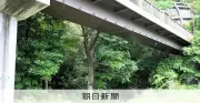 19歳男「復縁断られた」供述 神奈川女子高生殺人事件