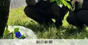 いじめ有無争点の高2自殺訴訟、学校側に330万円賠償命令 長崎地裁