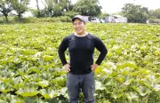 茨城・稲敷移住の27歳、江戸崎かぼちゃ農家として独立 若い担い手呼び込む