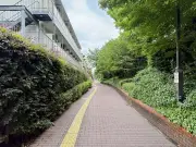 5Gが変える未来社会：IoTと自動運転の最前線