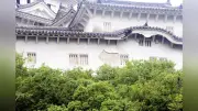 姫路城の国重文「ホの櫓」、台風6号で漆喰剥がれ修復へ