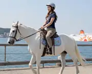 大阪湾岸で馬に乗る！関西最大級の馬の祭典「第6回OSAKAホースフェア」開催へ