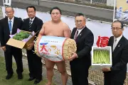 福島県、AIを活用した農業支援システムを本格導入へ
