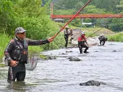 福島県がAI活用した農業支援システムを導入、生産性向上へ