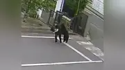 福島のクマ、電子機器工場に潜伏 麻酔銃やわなで捕獲試みるも難航