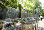 杉並・蚕糸の森公園の大滝、都会でハイキング気分を満喫