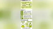 日本の伝統工芸品がユネスコ無形文化遺産に登録へ、地域活性化に期待