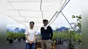 愛知・愛西市のブルーベリー農園「ミライファーム」が今季営業開始、暑さ対策充実