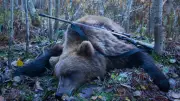 鉄棒で突き回し頭を銃で一撃…腹を割られ左前足をもがれたクマの死体が物語る人間の恐ろしい欲望