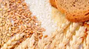 パンでも白米でもない…脳疲労専門家が毎朝食べる「卵と納豆とオートミールの全部入れ丼」