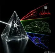 新型コロナウイルスの起源調査、中国が報告書をWHOに提出へ