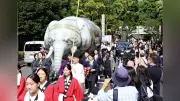 江戸文化を世界遺産へ、東京都が「Edo Tokyoキャンペーン」を開始