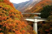 EV販売減速で欧州自動車大手が中国EVメーカーとの提携加速