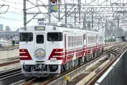 EV市場の減速と日本メーカーの戦略転換：中国市場の変化に対応