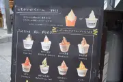 EV販売鈍化でバッテリー大手が戦略転換、LFP電池に注力へ