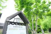 EV販売が低迷、テスラと中国勢の攻防激化
