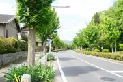 EVシフト加速で自動車部品大手が部品点数削減、サプライヤー再編へ