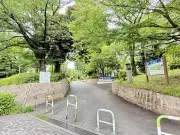 FIRE達成者の資産運用、配当金生活のリアルと税金対策