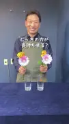切り花を長持ちさせる意外な方法に75万再生！水の量とコツを花屋に直撃