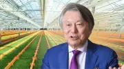 倒産寸前から年商132億円へ、村上農園の逆転劇と「誰も知らなかった野菜」