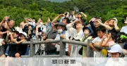 H3ロケット6号機打ち上げ成功、見物客から歓声「将来は宇宙へ」