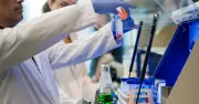 ヒトiPS細胞由来の「鼻から噴くスプレー」、加齢マウスの記憶力や認知機能を改善