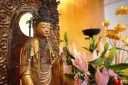 7歳で仏門に入った尼僧が開山した足立区のベトナム人駆け込み寺に数百人が集結