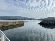 東洋経済の特集：日本の製造業が直面する課題と未来への展望