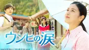 韓国ドラマ『ウンヒの涙』あす30日からBS日テレで放送開始、全70話