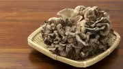 関西出身の研究家が東京で気づいた「ご当地食材」の地域差 秋田・茨城・和歌山を巡る