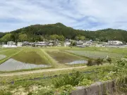 村上信五の番組がきっかけ、高槻の土壌で有用微生物確認 ぶどう栽培実証開始