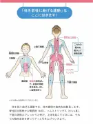 誤った「日本人は働きすぎ」神話、海外メディアの偏見を検証
