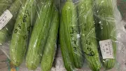 もはや異常事態、沖縄の野菜持ち出し禁止に迫る特殊害虫の脅威と生物安全保障の課題