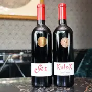パスカル・マーティ氏、チリで日本酒酵母ワイン「ぎんの雫」を生み出す哲学